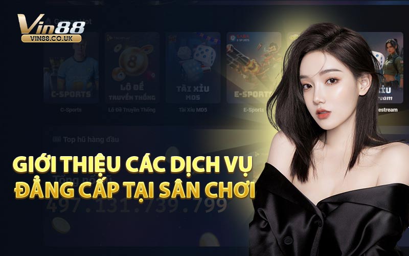 Giới thiệu các dịch vụ đẳng cấp tại sân chơi